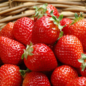 丹东草莓